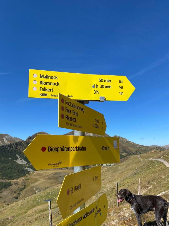 foto4