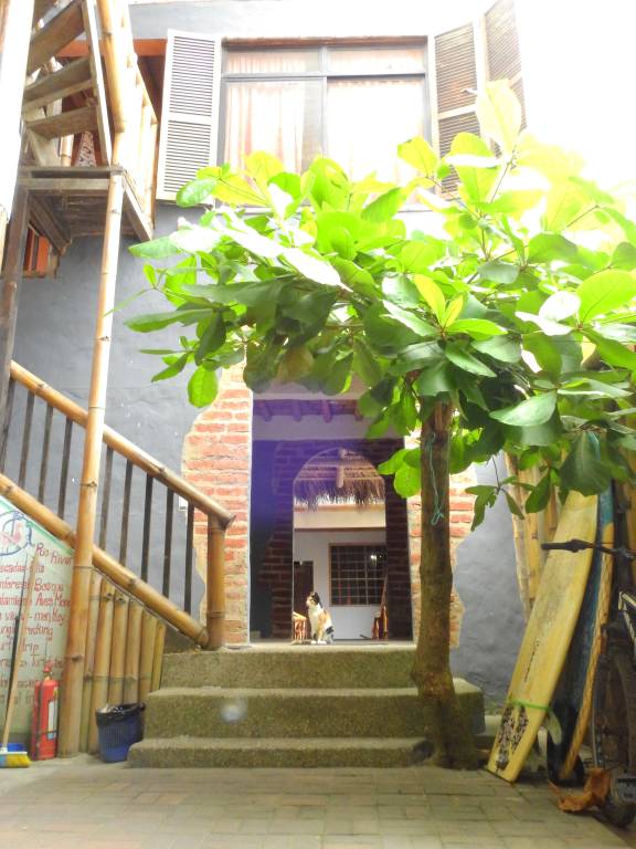 foto11