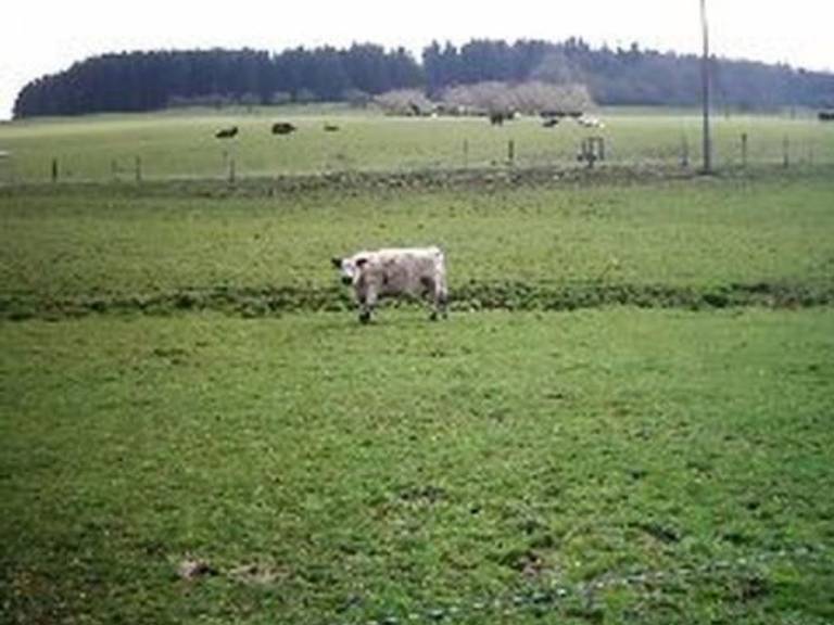 foto15