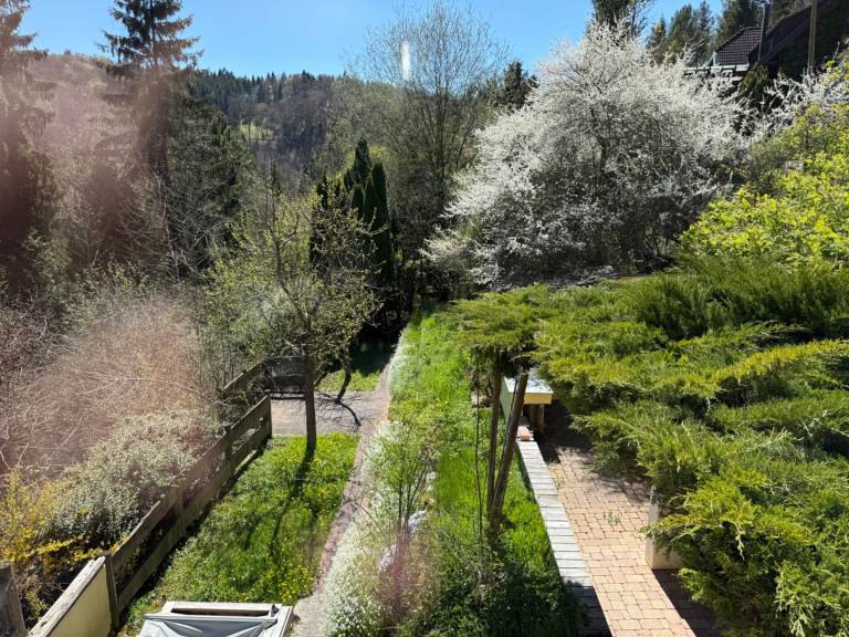 foto25