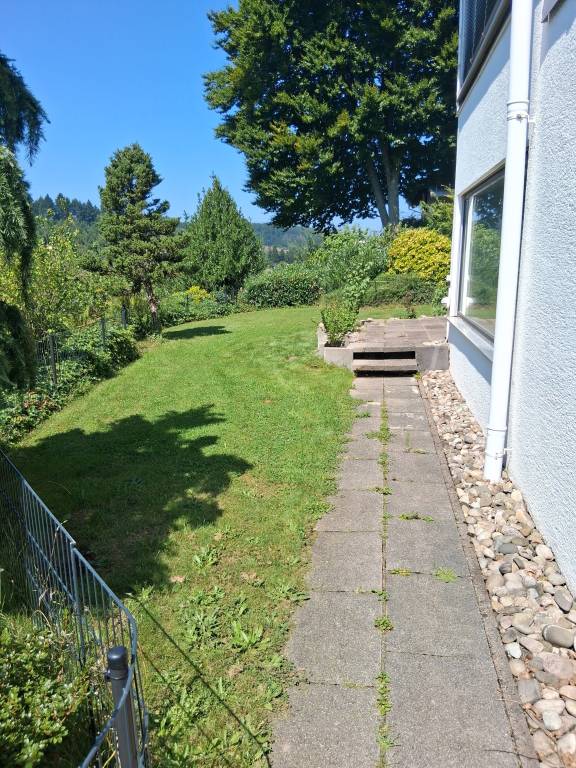 foto24