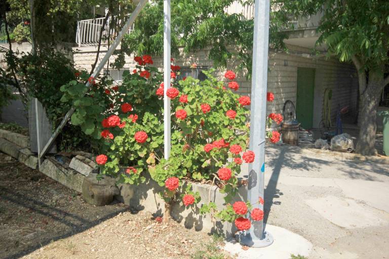foto21