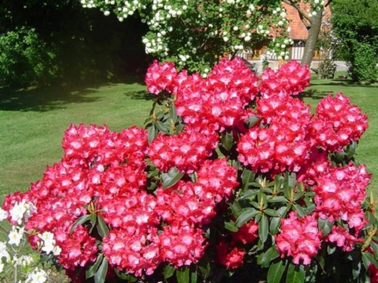 foto17
