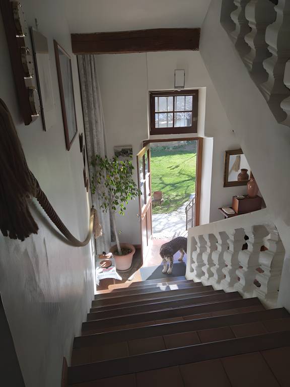 foto11