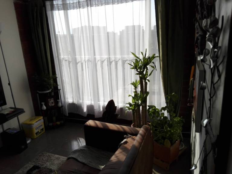 foto6