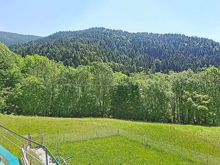 foto30