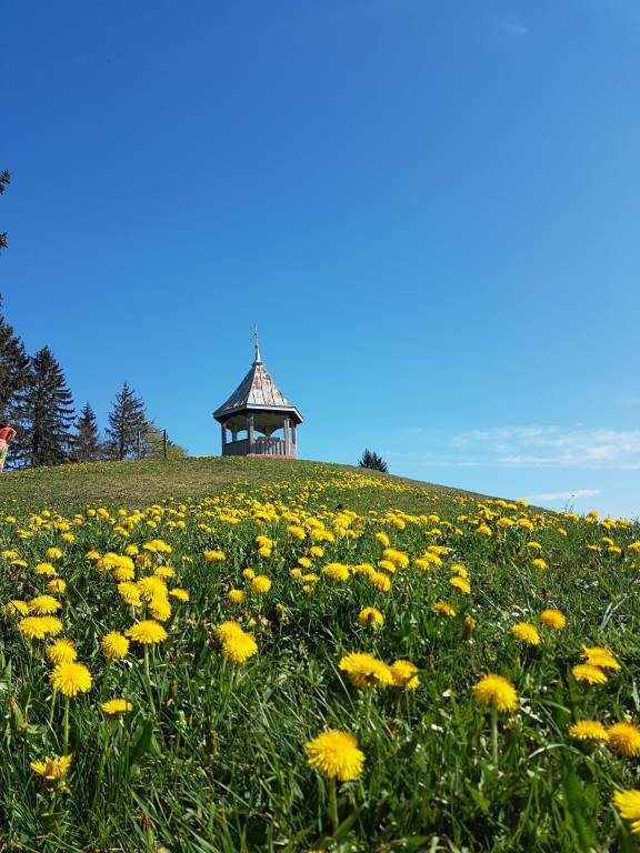 foto22