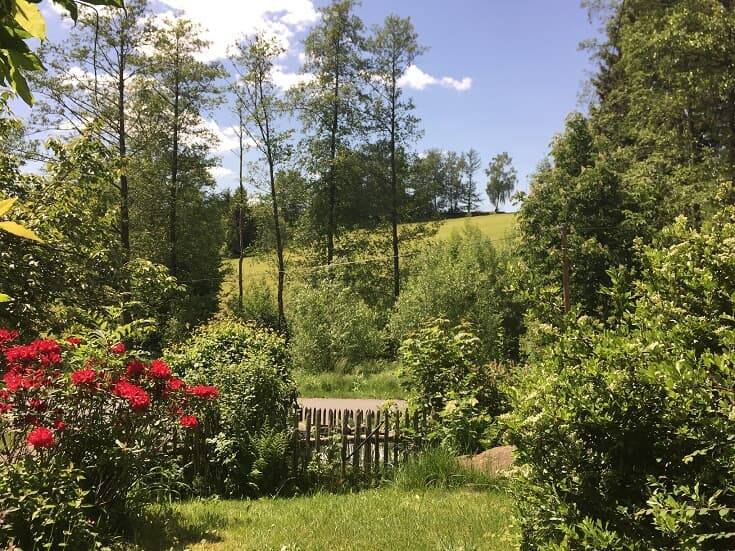 foto11