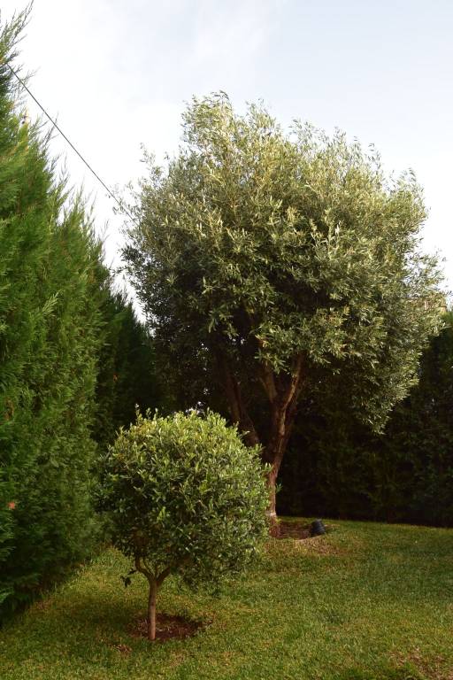 foto32