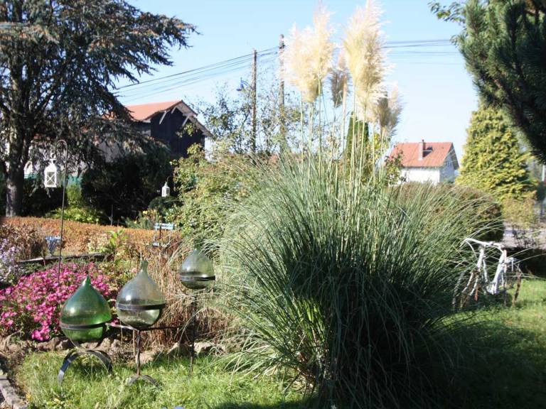 foto24