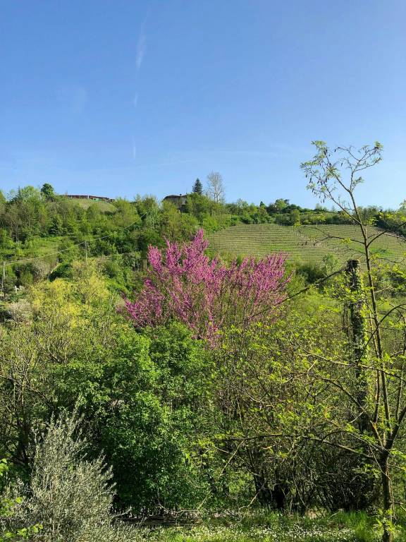 foto21