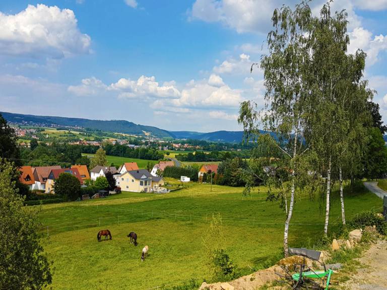 foto14