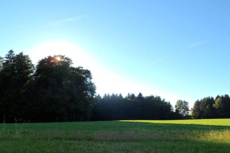 foto21