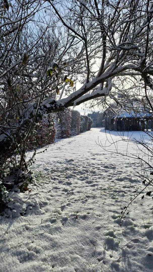foto18