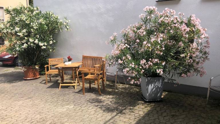 foto13