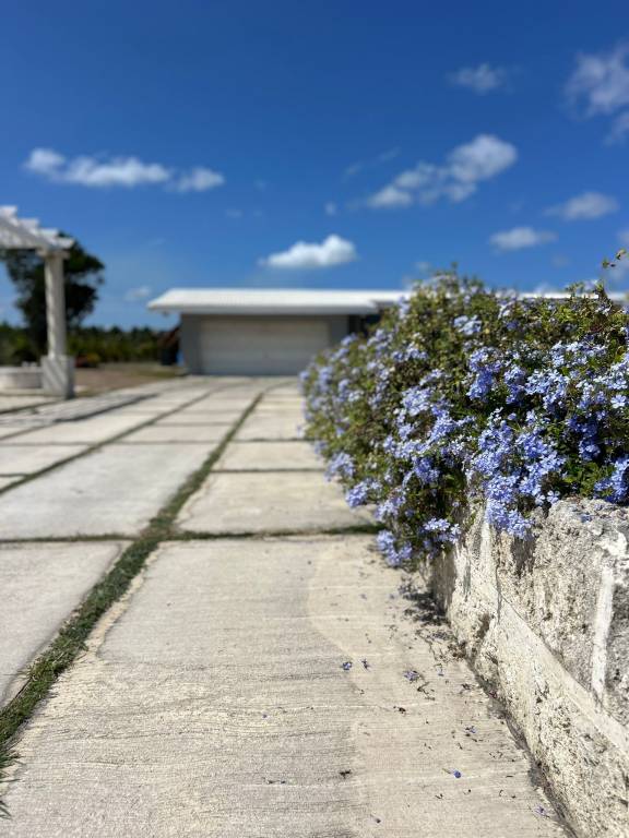 foto16