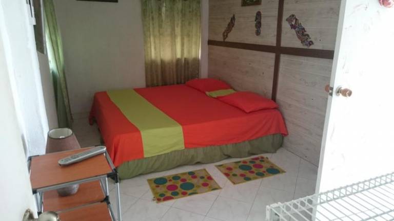 foto12