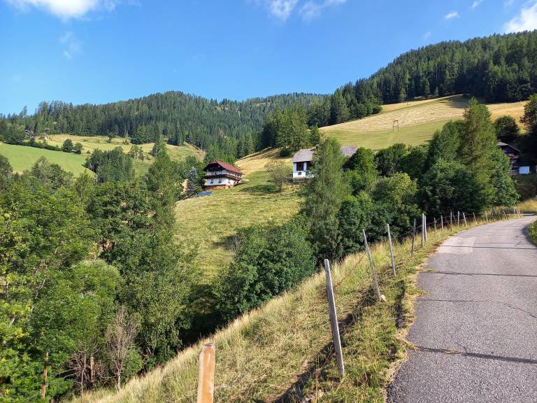 foto19