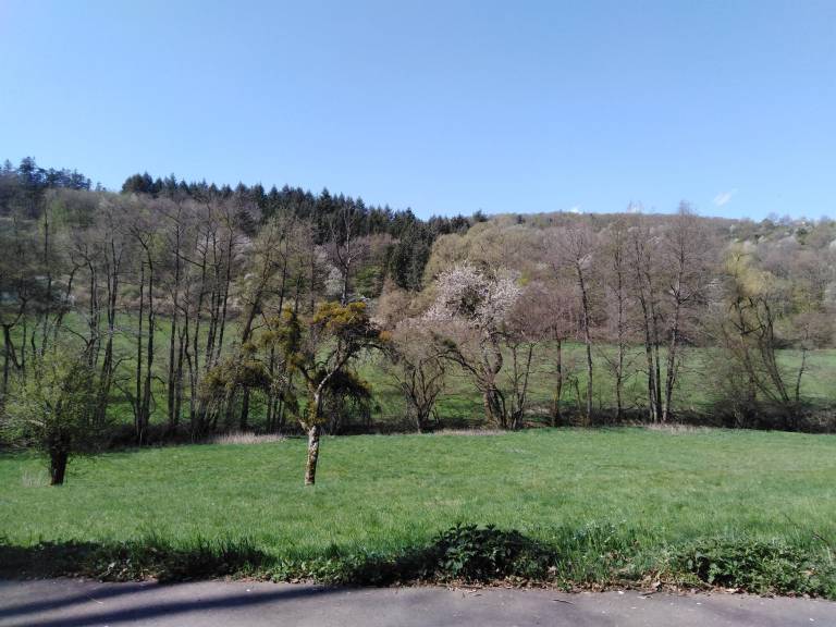 foto7