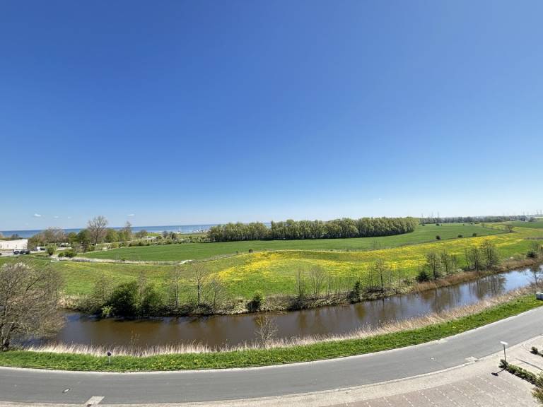 foto11