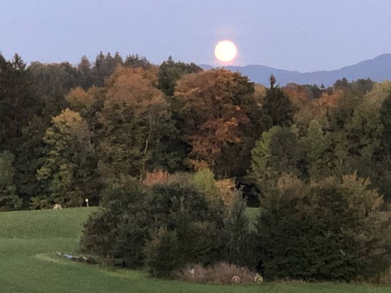 foto28