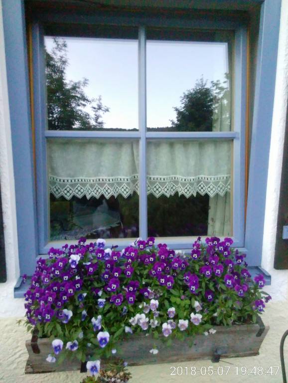 foto19