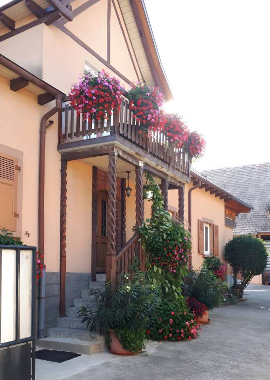 foto6