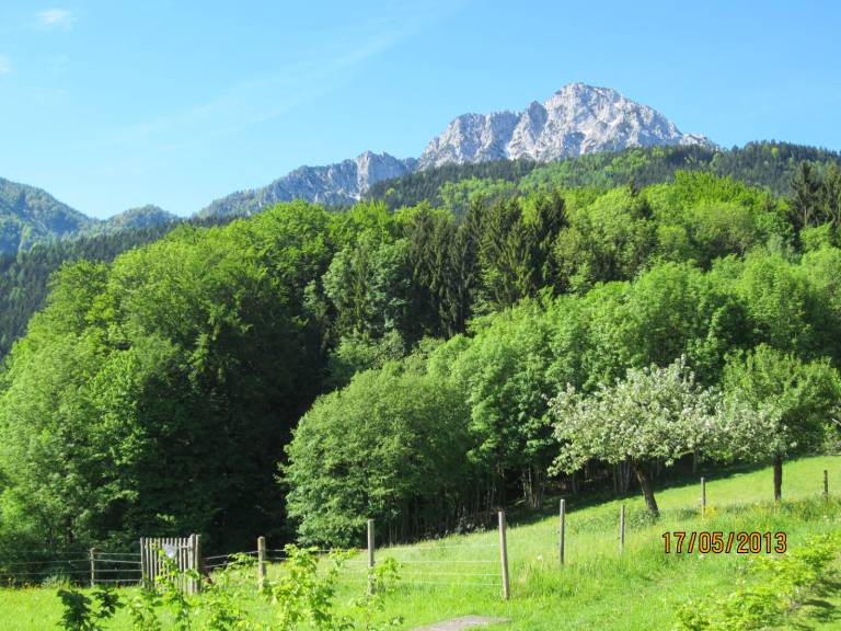 foto33