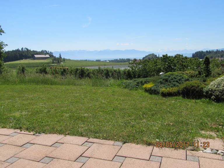 foto16