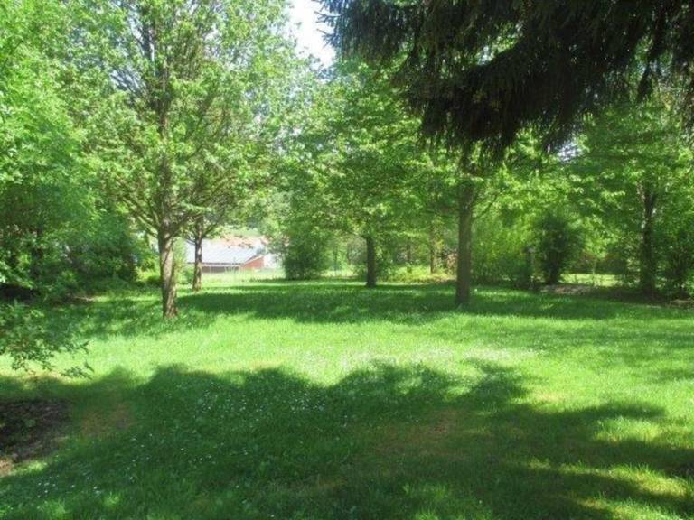 foto47