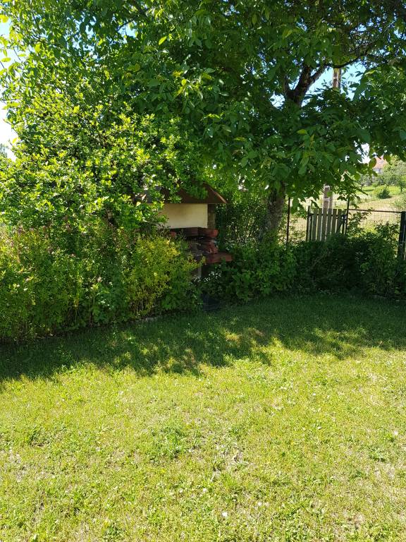 foto12