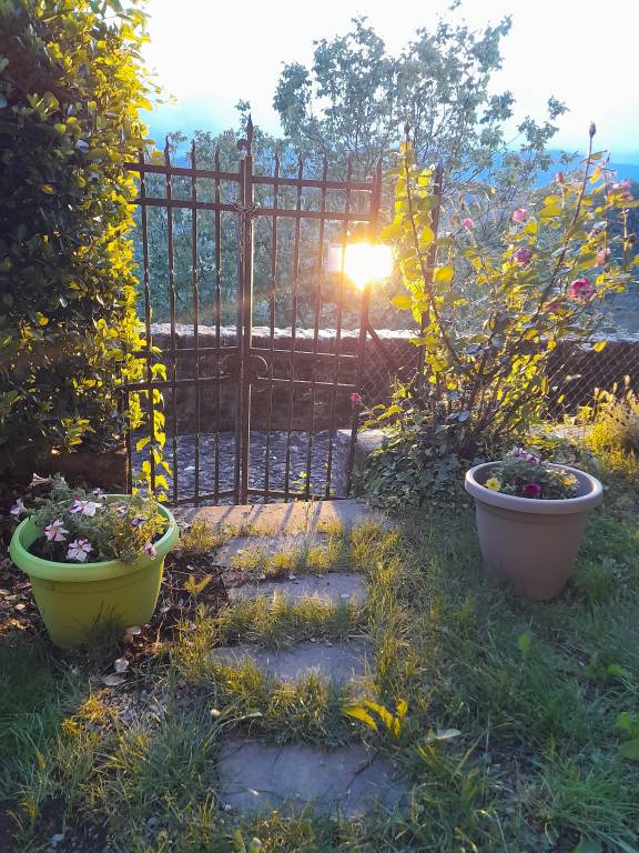 foto35