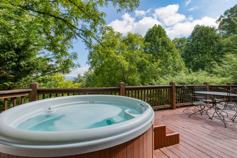 Cabin Waynesville