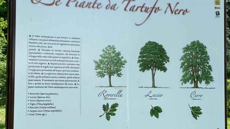 foto17