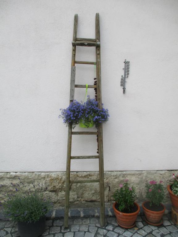 foto16