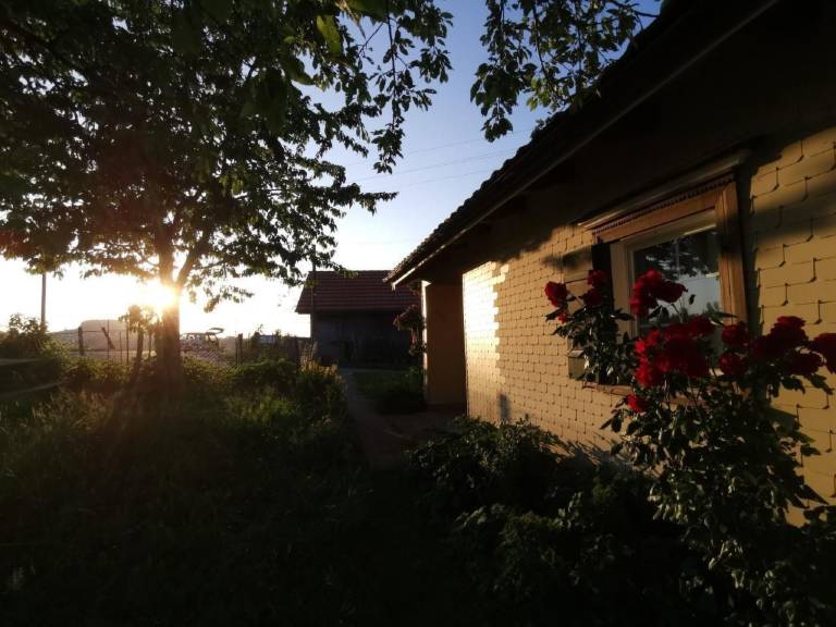 foto32