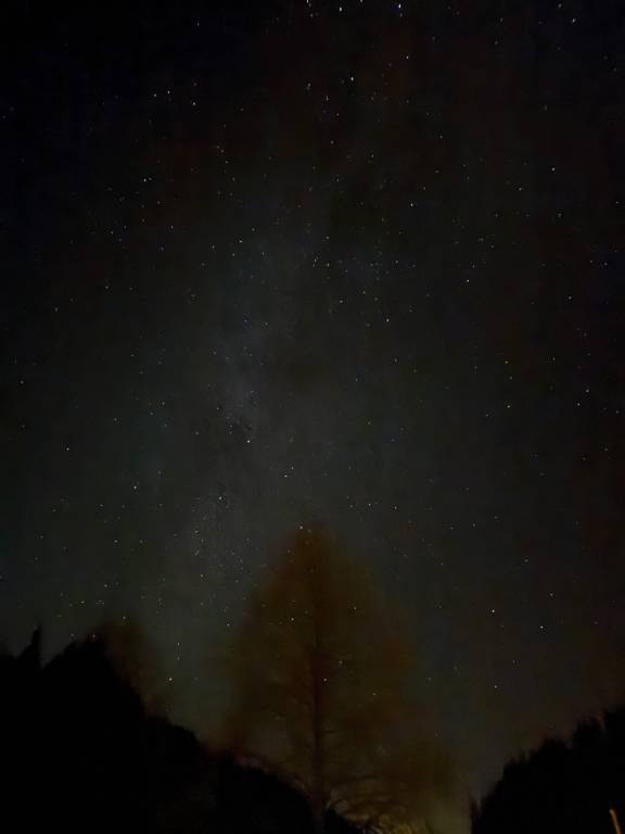 foto19