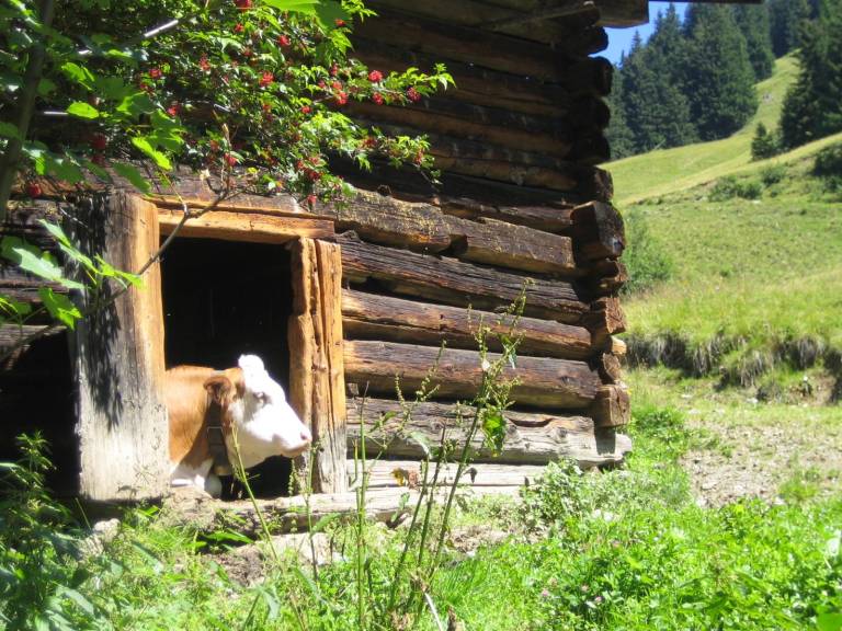 foto16