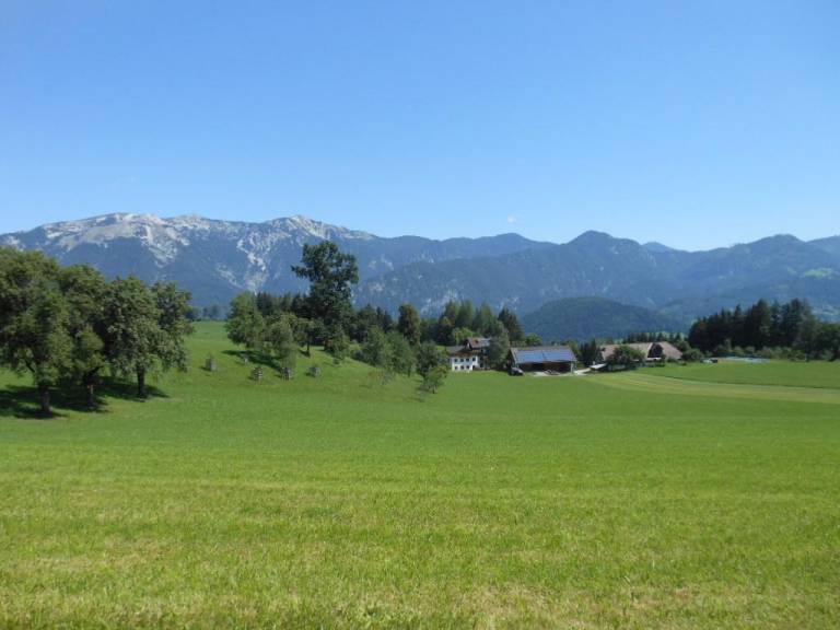 foto24