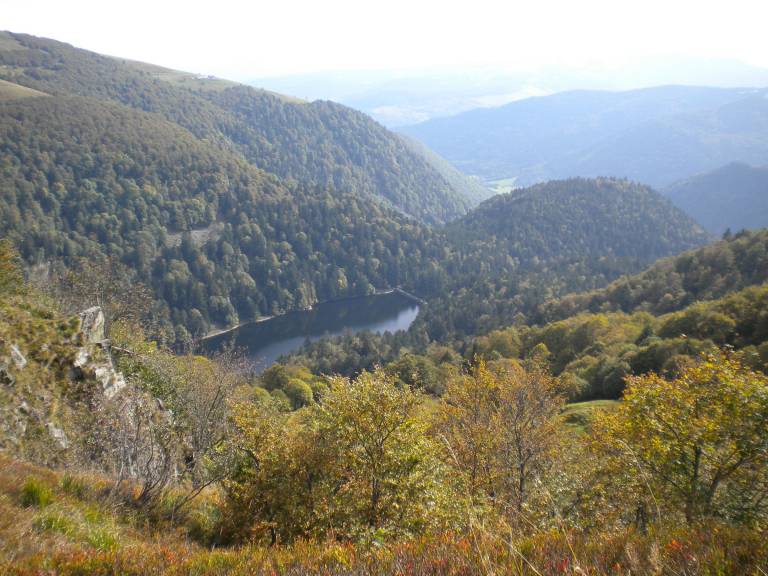 foto6