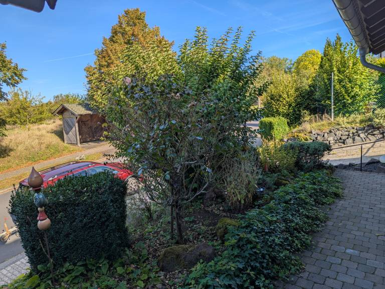 foto16