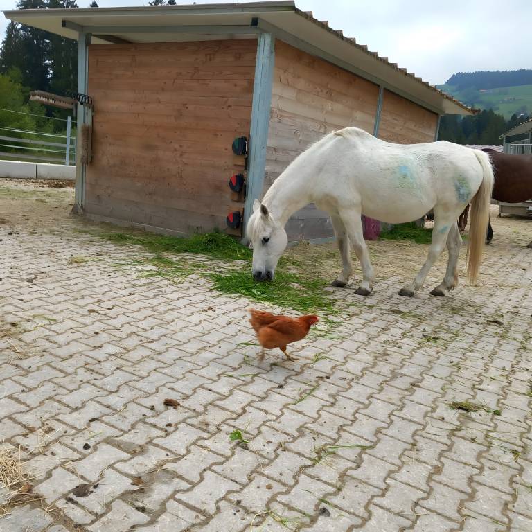 foto13