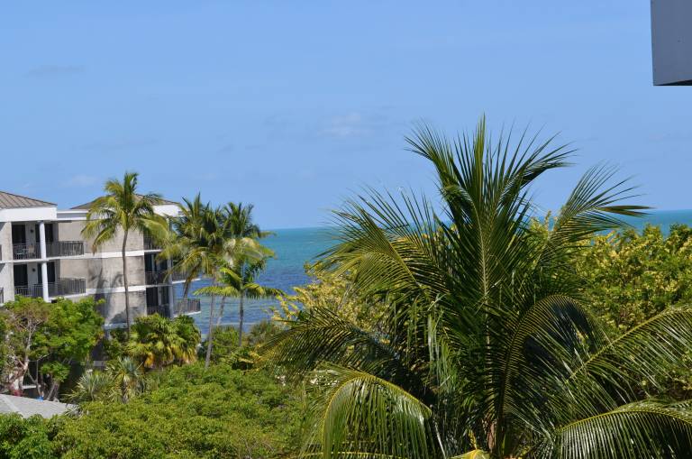 Condo  Key West
