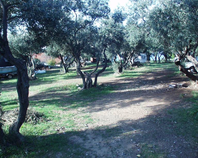 foto8