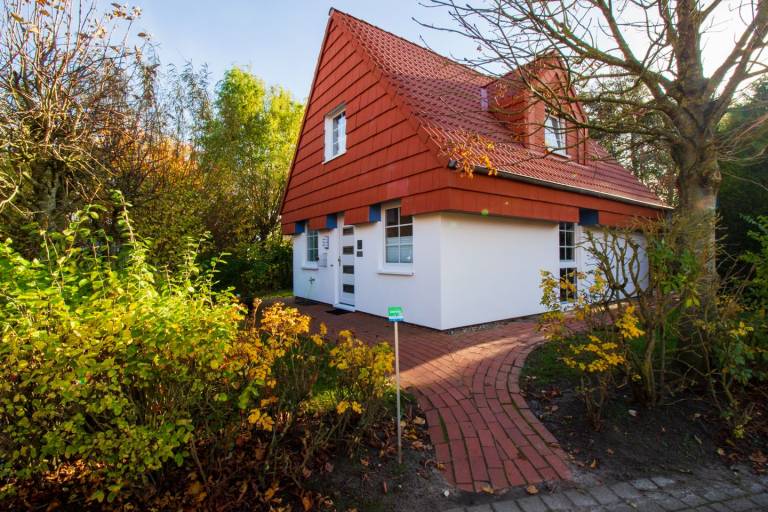 foto29