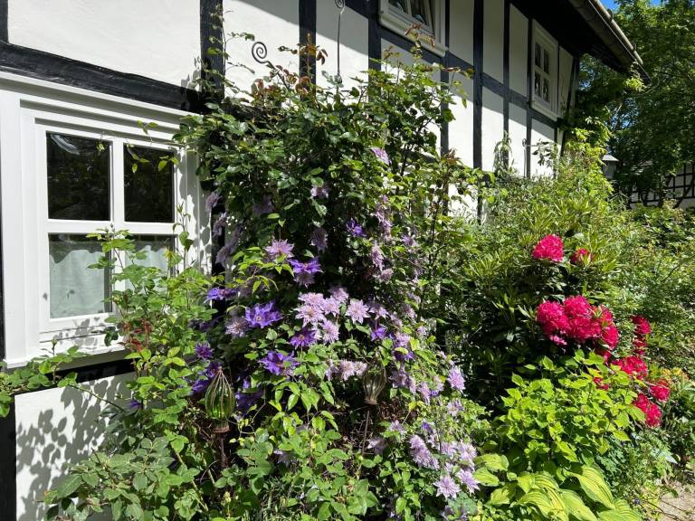 foto15