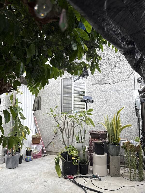 foto19