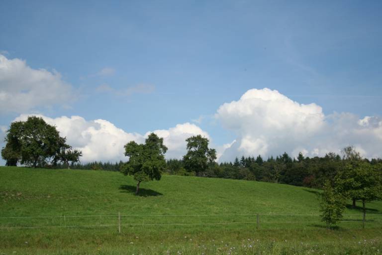 foto13