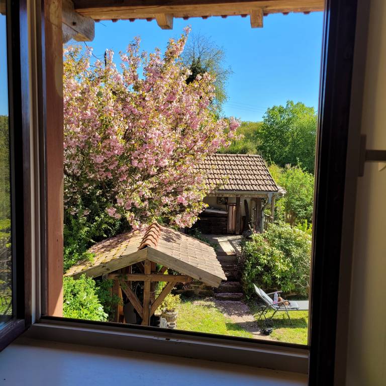 foto21