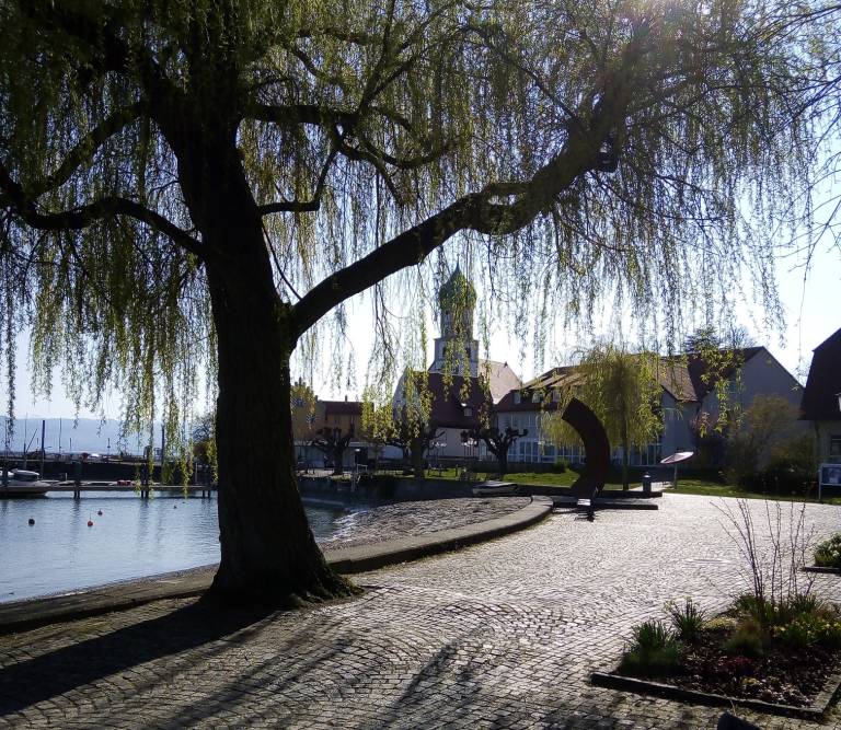 foto12